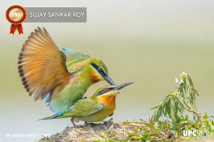 2 Sujay Sankar Roy‎-2