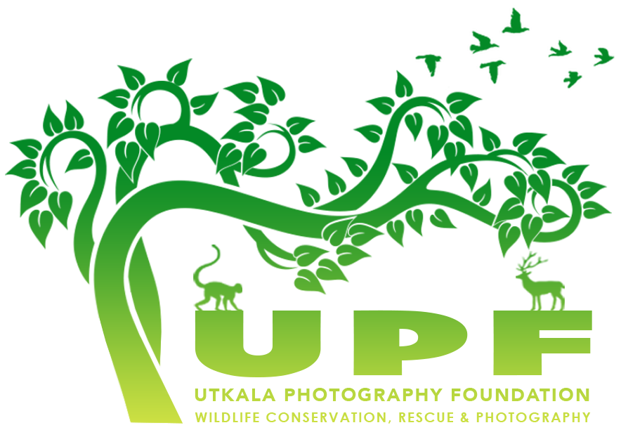 upf retina logo