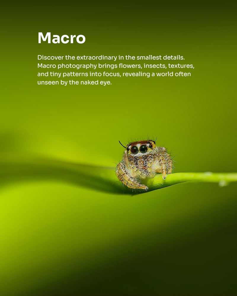 macro copy 2